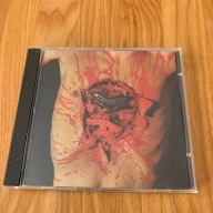 Indecent & Obscene Dismember CD org.1st Press 1993 RAR