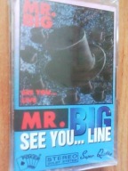 MR. BIG ------ SEE YOU... LIVE