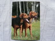 DWA PSY ,W LESIE,, ...