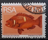 Ryby (kas) - luzak - do uzupełnień 13/6