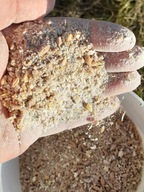 Pasza dla kur niosek 100% naturalna 25kg mieszanka zbóż zbożowa