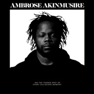 Ambrose Akinmusire-On The Tender of Every Calloused Moment/Blue Note