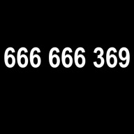 ZŁOTY NUMER, PLATYNOWY NUMER 666 666 369