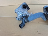 Pompa Wody Renault Austral Espace VI E-Tech 1.2 Hybryd 210100445r