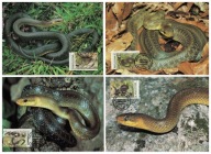 10-GK54- Mołdawia,WWF,1993- Gady-Węże