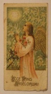 STARY OBRAZEK - ECCE ANIS ANGELORUMI - Cicho !