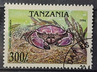 Ryby (kas) - luzak - do uzupełnień 13/7