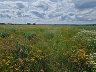 Działka, Puck, Pucki, 1002 m²