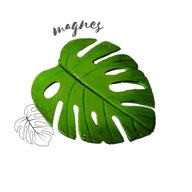 RĘCZNIE ROBIONY MAGNES NA LODÓWKĘ MONSTERA ROŚLINA SHELFLAND