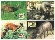 10-MC-GK48- Filipiny,WWF,1997- Fauna egzotyczna