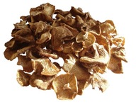 Opieńka suszona 100g 2025 ATEST