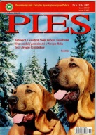 Pies nr 6/2007