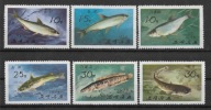 Korea xx M766 fauna ryby MNH VF