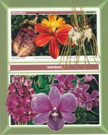 Mozambik 2017 ** cena 11,50 zł kat.6€ - flora, storczyki, blok