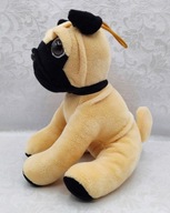 Rasowy piesek pies MOPS śliczny mopsik MASKOTKA