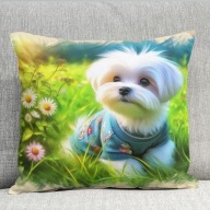 Poduszka 40/40cm Maltańczyk Maltese