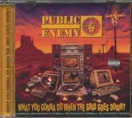 Public Enemy - What You Gonna Do When... - Nowa