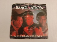 VINYL SP 7" / Imagination / In The Heat Of The Night