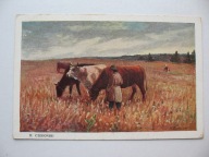 MARIAN CZEKOŃSKI PASTUSZEK KROWY przedwojenna POCZTÓWKA