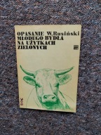OPASANIE MŁODEGO BYDŁA/ROLNICTWO KROWY PASZE POPLONY NAWOZY PASTWISKA TRAWY