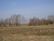 Działka, Grójec, Grójec, Grójecki, 3000 m²