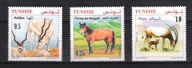Tunezja 2019, 3zn. fauna Tunezji, antylopy, koń kucyk pony