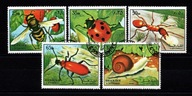 Sharjah ( Fauna - owady )