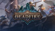 Pillars of Eternity II: Deadfire PEŁNA WERSJA STEAM PC KLUCZ