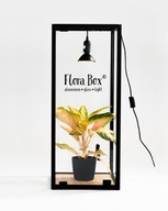 FLORA BOX Witryna do kwiatów kolekcjonerskich żarówka LED Full Spectrum 20W