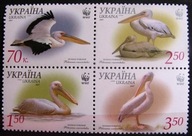 Ukraina - Mi 897/00 - Pelikany