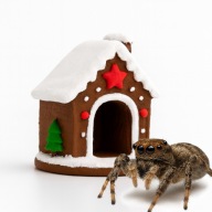 KRYJÓWKA DLA SKAKUNA "PIERNIKOWY DOMEK" RĘCZNIE MALOWANA OZDOBA TERRARIUM