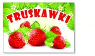 TRUSKAWKI BANER 100 X 70 cm