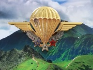 ODZNAKA SPADOCHRONOWA -FRANCJA