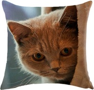 Ozdobna poszewka, jasiek na poduszki - Kot - 45 x 45 cm produkt unisex