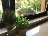 Dom, Prace Duże, Tarczyn, Piaseczyński, 200 m²