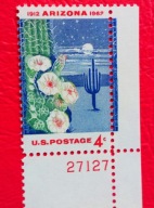USA 1962 kwiaty kaktus z numerem czyste**