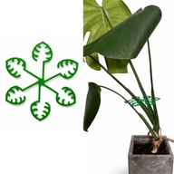 Podpora do roślin kwiatów doniczkowych podpórka chwytak zielona –PLA 1szt