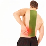 NAJWIĘKSZY Plaster Rozgrzewający XXL 51 cm na Plecy Kręgosłup Piołun