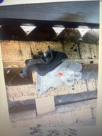 ŁAPA PODUSZKA SILNIKA HYUNDAI TUCSON IV 1,6 T-GDI 2023