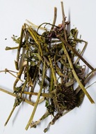 Jeżówka Purpurowa Echinacea 10kg ziele dla koni królików gryzoni gryzak