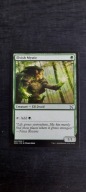 Karta Magic: The Gathering Elvish Mystic Wizards Of The Coast