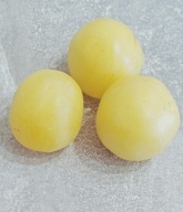 Pomidor Duch Bułgarii/ Ghost of Bulgaria (392) nasiona kolekcjonerskie