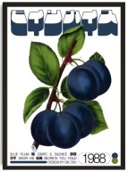 Plakat „Botanical Vintage” – Retro Plakat Roślin i Owoców