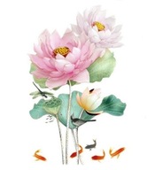 NAKLEJKI NA ŚCIANĘ - LILIA WODNA RÓŻOWY KWIAT RYBY WAŻKI