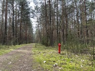Działka, Dzbądz, Różan, Makowski, 2000 m²
