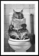 A3 CZARNO-BIAŁY PLAKAT DO ŁAZIENKI TOALETY ZABAWNY KOT Z GAZETĄ UROCZY