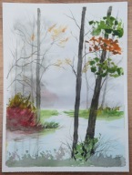 PEJZAŻ (69) dla 884 Skubalskich