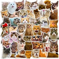 ZESTAW NAKLEJEK 100 SZTUK KOTY