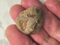 Skamieliny minerały koralowce