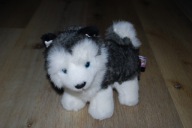 pluszak maskotka piesek szczeniak husky Haski
